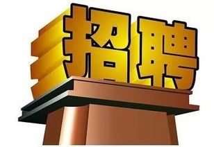 長春軟件開發(fā)行業(yè)迎來新機遇，科技創(chuàng)新助力城市數(shù)字化轉型
